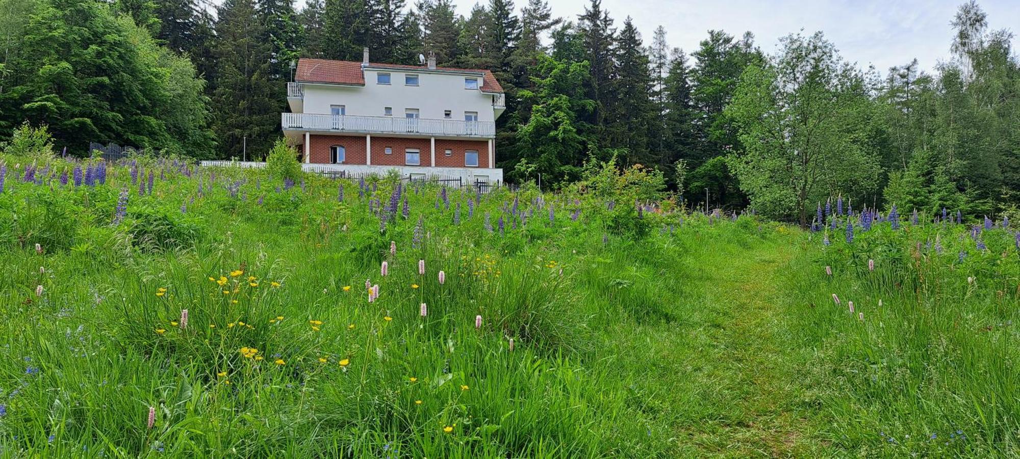 Bed and Breakfast Gorskie Zacisze Боровіце Екстер'єр фото