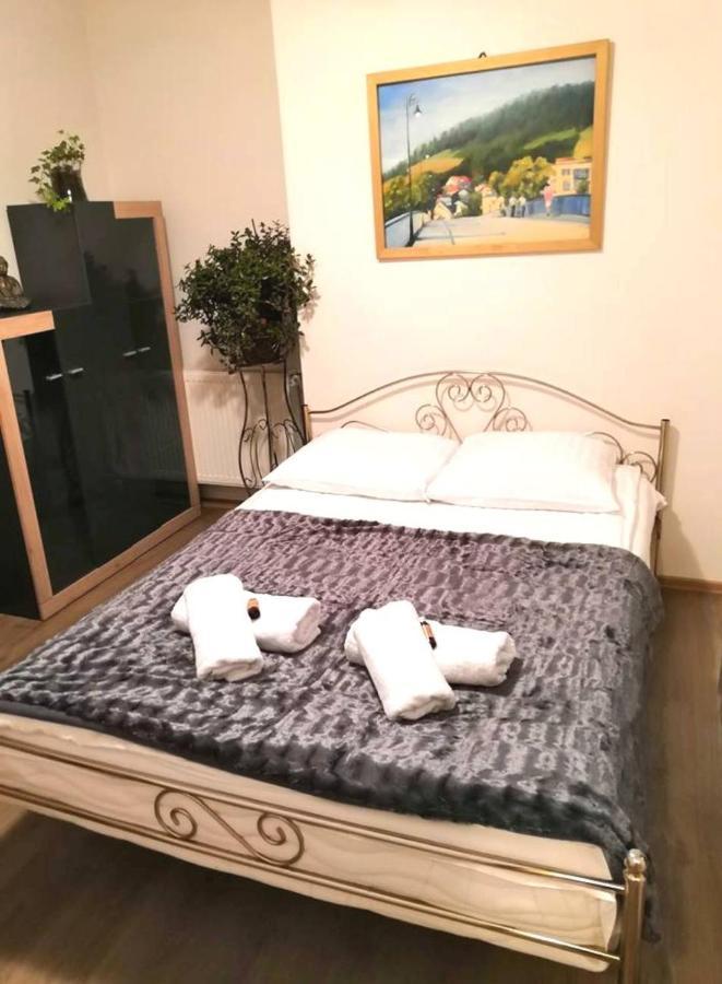 Bed and Breakfast Gorskie Zacisze Боровіце Екстер'єр фото
